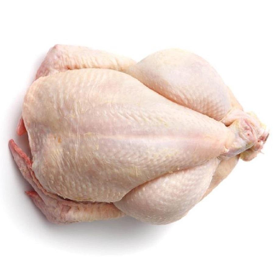 frozen chicken suppliers
